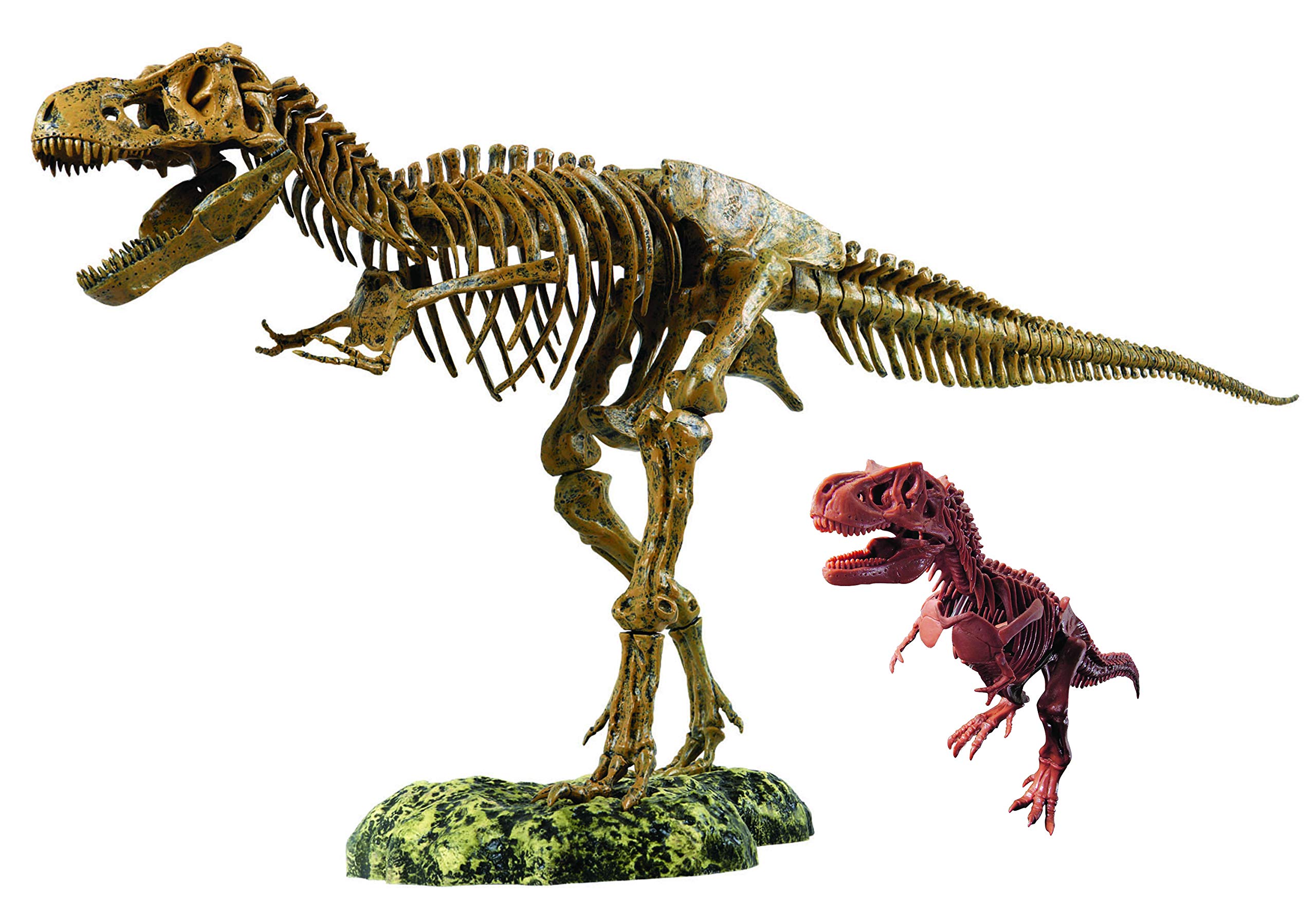 Set Riesen Tyrannosaurus Rex und Baby T-Rex Dinosaurier Experimente mit Lehrbuch