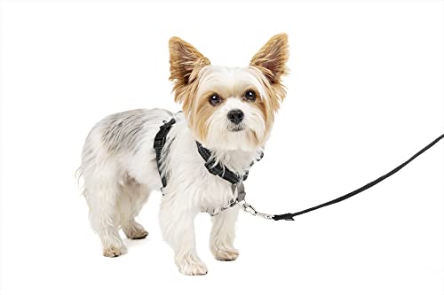 PetSafe 3 in 1 Hundegeschirr S schwarz, Autosicherheitsgeschirr, kein Ziehen, Tragekomfort, Reflektoren, Geschirrgriff