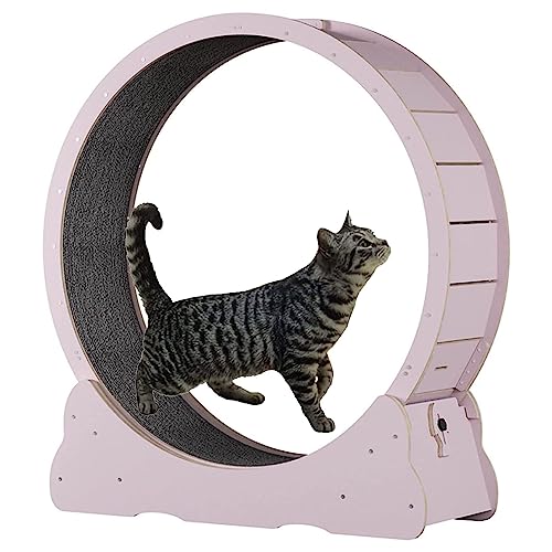 Katzen-Laufrad für Hauskatzen, einfach zu montierendes Katzen-Laufband mit Verriegelung, Sicherheits-Einklemmschutz, geräuschlos, große Katzen-Laufräder für gesunde Katzen, P