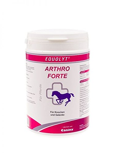 Equolyt Arthro Forte, 1er Pack (1 x 0.5 kg)