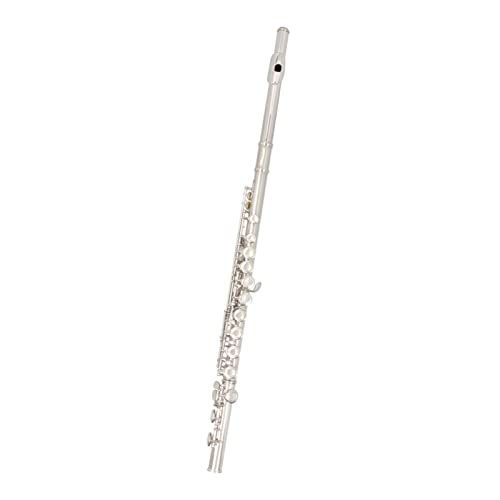 PECY Silberflöte 16-Loch Geschlossenes Loch Versilbertes Flöteninstrument Mit Box Querflöten