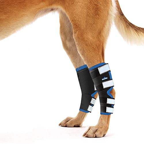 NeoAlly Hind Hock Bandagen für Hinterbeine, mit reflektierenden Sicherheitsgurten für Verletzungen und Verstauchungen, Wundheilung und Stabilitätsverlust durch Arthritis – 3 Farben (Paar), L, blau