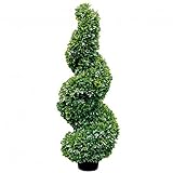 Fink BUCHSBAUM/Twist,grün/H.150cm,Spirale