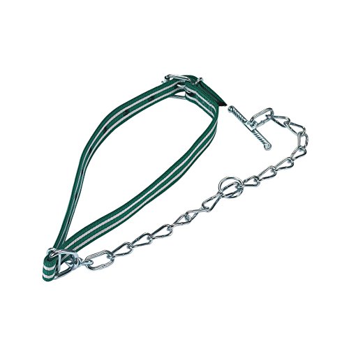 Agritura Kälberanbindung komplett mit Halsband 85 x 4 cm und Kettenteil mit Wirbel und Knebel - KRB-12530