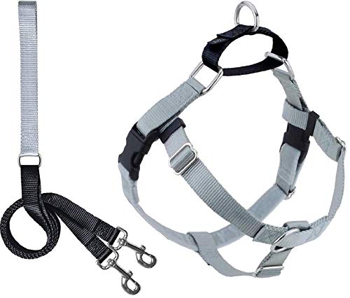2 Hounds Design 818557022532 No-Pull Dog Harness with LeashX-Small (5/8 Zoll Wide) XSSilver