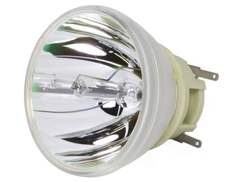 azurano Beamerlampe für OPTOMA SP.7C601GC01, BL-FU220E Ersatzlampe Projektorlampe