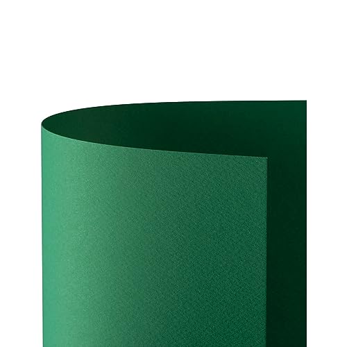 Favini a33d012 Prism 220 50 x 70 cm, grün, 20 Stück