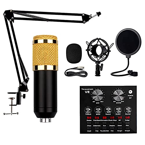 BSJZ Soundkarten-Mikrofon-Set, multifunktionale Live-Soundkarte, Live-Broadcast-Metallmikrofon-Set Verstellbare Halterung 12 Hintergrund-Soundeffekte