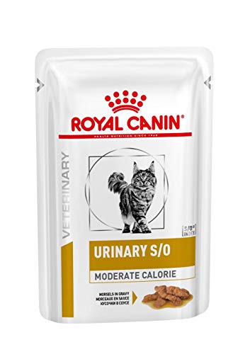 Royal Canin Urinary moderate calorie Lachs 12 x 100g