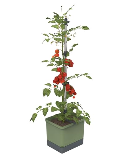 Tom Tomato - Tomatentopf - 4,5 L Wassertank Bewässerungssystem - Rankhilfe - Befestigungshaken - 20 L Erdvolumen - Kletterpflanzen - Pflanzkübel Pflanzgefäß Blumentopf Pflanzturm (Dunkelgrün)