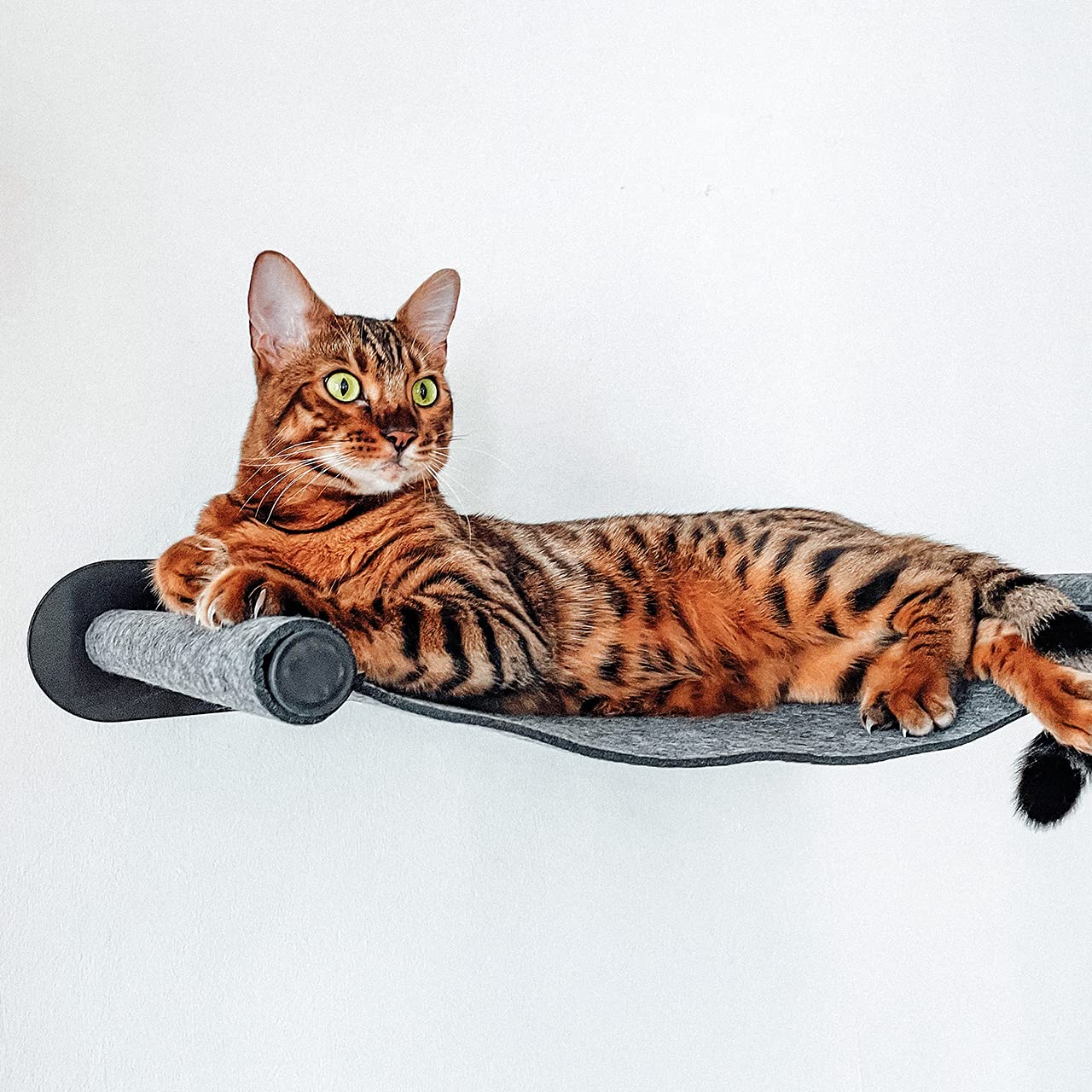 CanadianCat Company | Katzenhängematte aus Filz mit Wandmontage | ca. 65 x 35 x 10 cm | Anthrazit | Kletterwand Liegemulde Wandliege Katzenbett aus Filz