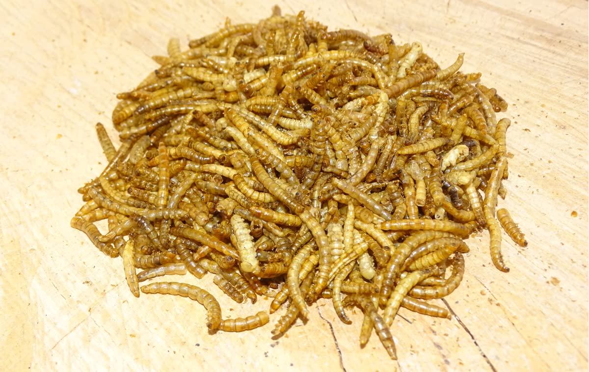 5 kg Mehlwürmer getrocknet Vogelfutter Fischfutter Igelfutter Nagerfutter