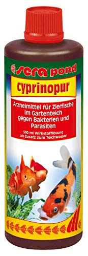 sera 07460 pond cyprinopur 500 ml - Arzneimittel für Zierfische mit Breitbandwirkung gegen häufige Erkrankungen im Teich