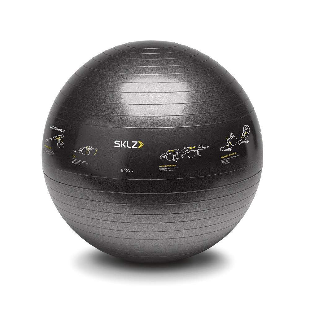 SKLZ TRAINERball Sport Performance (65cm) -Gymnastikball mit Übungen, schwarz, One Size