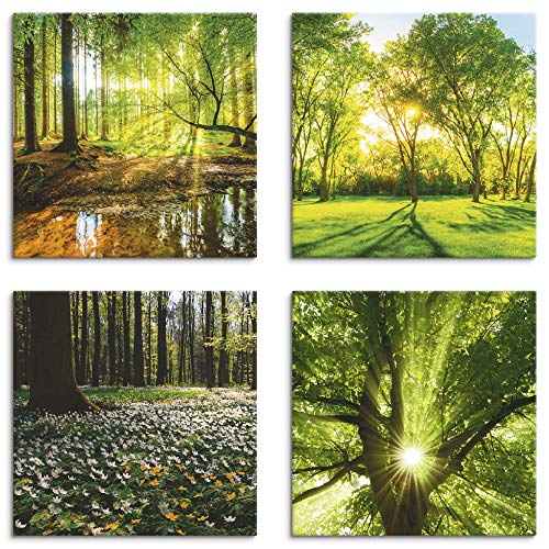 Artland Leinwandbilder auf Holz Wandbild Bild Set 4 teilig je 40x40 cm Quadratisch Landschaft Wald Grün Wald Bach Frühling Windrosen Sonne Baum K2FR