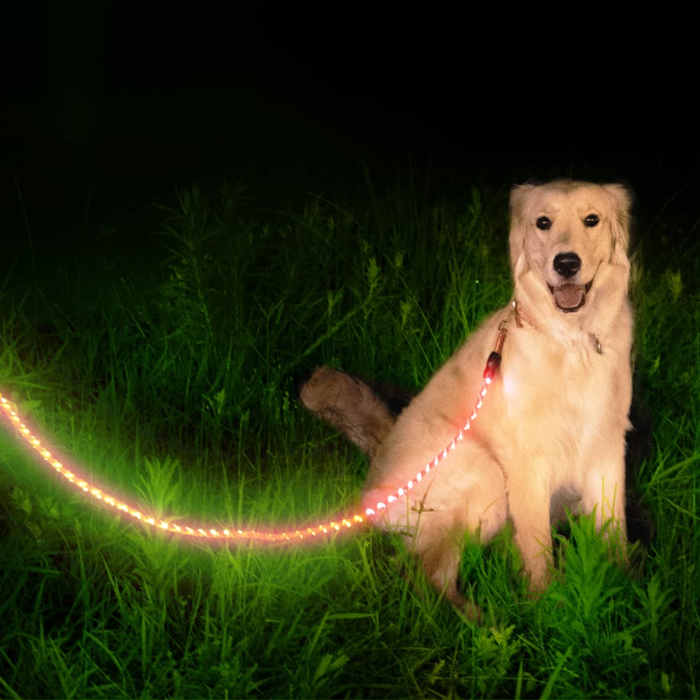 Leuchtende LED-Hundeleine, explosionssicher, mit 3 Blinkmodi, leuchtet bei Nacht mit dem Hund, 150 cm, Rot
