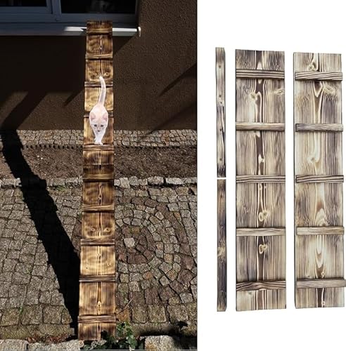 Katzenleiter Katzentreppe Geflammt Katzenstufe für Balkon Fenster mit Metallhaken 1m - 6m (Länge 2 m)