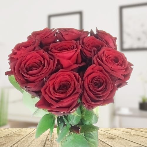 Rote Rosen"Premiumrosen XXL" - 10 großblütige, langstielige Blumen