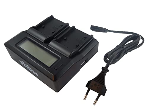 vhbw 220V Dual Netzteil Ladegerät Ladekabel USB für Panasonic NV-GS27, NV-GS280, NV-GS30, NV-GS300, NV-GS320, NV-GS33, NV-GS330, NV-GS35, NV-GS400