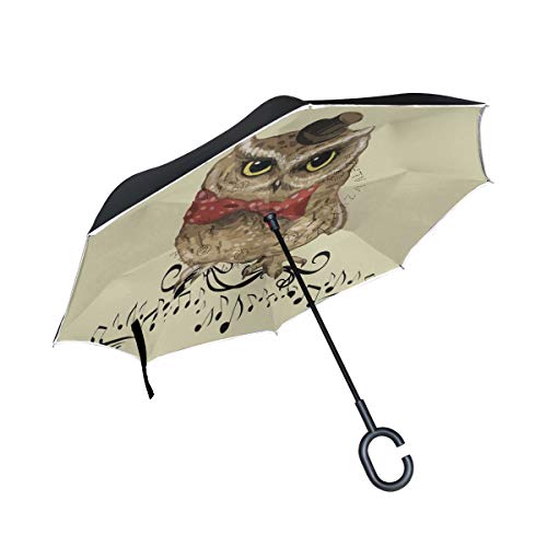 Eule Vogel Kunst Malerei Invertierter Regenschirm UV-Schutz Winddichter Umbrella Invertiert Schirm Kompakt Umkehren Schirme für Auto Jungen Mädchen Reise Strand Frauen