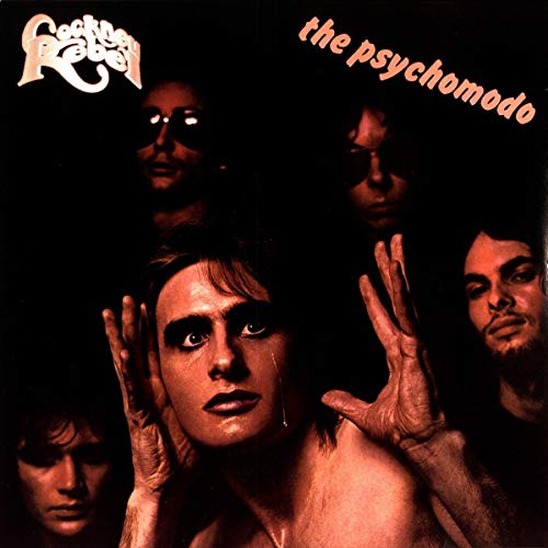 The Psychomodo [Vinyl LP]