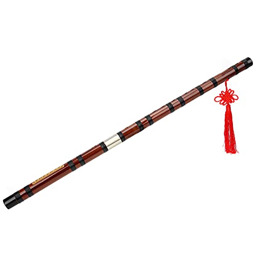 Eujgoov Bambusflöte, D-Key Dizi Bitter Bambusflöte Traditionelles Chinesisches Instrument mit Tragetasche für Anfänger