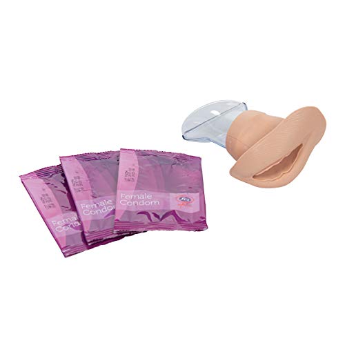 3B Scientific L41/2 Trainingsmodell für weibliche Kondom, 11,9 cm Länge