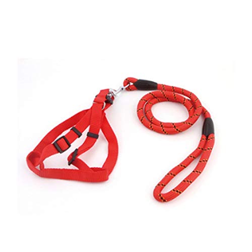 Ketten-Zugseil für Haustiere Mittelgroßes Laufseil für Hunde Pet Supplies Out Safety Traction Rope (Color : B) (A )