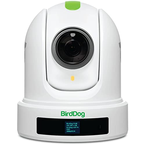 BirdDog P110 PTZ Kamera 1080P mit 10x Zoom, OLED Screen