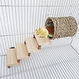 TeTupGa Hamster-Kauspielzeug für Haustiere, warmes Nest mit Treppenpolster, Ratten, Holzübung, Spielrohr, Tunnel, Zahnpflege, Molarkäfig für Vögel, syrische Hamster, Zucker, Rennmäuse, Kaninchen, Frettchen, Meerschweinchen