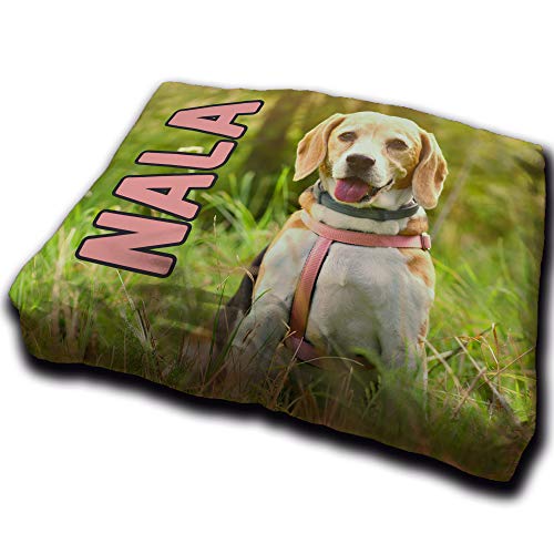Hundebett. Hundebett Kleine Hunde. Personalisiert mit Name/Foto. Bett für große / Mittlere / Kleine Hunde. Waschbare Hundematratze und Abnehmbarer Bezug. PEQUEÑA