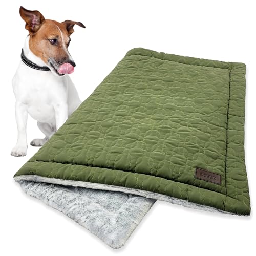 LUCON Hundedecke Kuscheldecke für Hund & Katzen Wendedecke flauschig & gesteppt Decke waschbar Hundematte in grün (85 x 63cm)