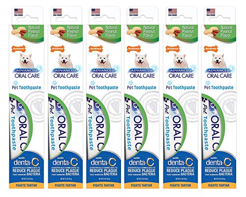 (6 Pack) Nylabone Advanced Oral Care Toothpaste Peanut Butter Flavor 2.5 ounce