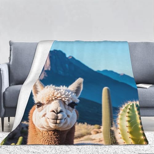3D Alpaka Motiv Kuscheldecke Flauschig Flanell Tier Muster Decken Wohndecke Flanelldecke Sofadecke Couchdecke Geschenke für Kinder Erwachsener Decke 150x200cm