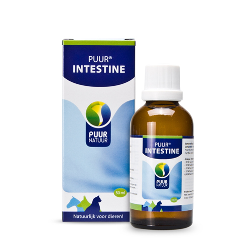 Puur Intestine (ehemals Puur Darm) - 50 ml 3