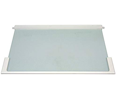 Glasplatte mit Halteleisten für Kühlschrank 495 x 300 x 25 mm Liebherr 9293003