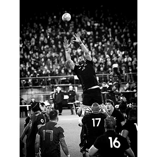 Coleman Rugby Line Out New Zealand Photo Large Wall Art Poster Print Thick Paper 18X24 Inch Neuseeland Fotografieren Wand Poster drucken