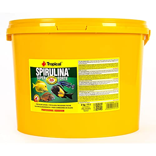 Tropical Super Spirulina Forte Flockenfutter mit 36% Spirulina (Platensis) Anteil, 1er Pack (1 x 11 l)