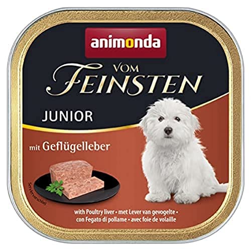Animonda vom Feinsten Junior Hundefutter - Schälchen - Geflügelleber - 22 x 150 g