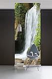 Komar 157-DV1 Vlies Fototapete SWOOSH-100 x 280 cm-Tapete, Wand Dekoration, Wasserfall, Fluss, Natur, Wald, See-157-DV1, bunt
