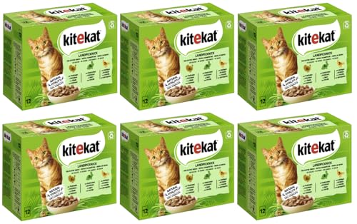 KITEKAT Portionsbeutel Multipack Katzenfutter Nassfutter (6X 12x85g, Landpicknick in Sauce)