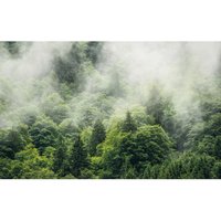 Vliestapete Hefele Forest Land Komar naturalistisch