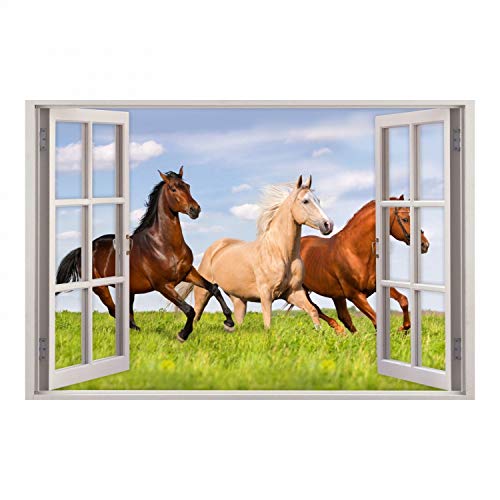 nikima Schönes für Kinder 157 Wandtattoo Fenster - Pferde auf Wiese - in 5 Größen - Kinderzimmer Wanddeko Mädchen Wandbild reiten - Größe 750 x 500 mm