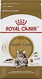 Royal Canin Maine Coon 31 Katzenfutter, 10 kg