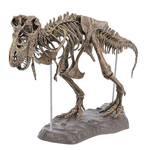 RanDal Diy Farbe 70Cm T Rex Tyrannosaurus Rex Skelett Dinosaurier Tier Sammler Modell Dekorationen