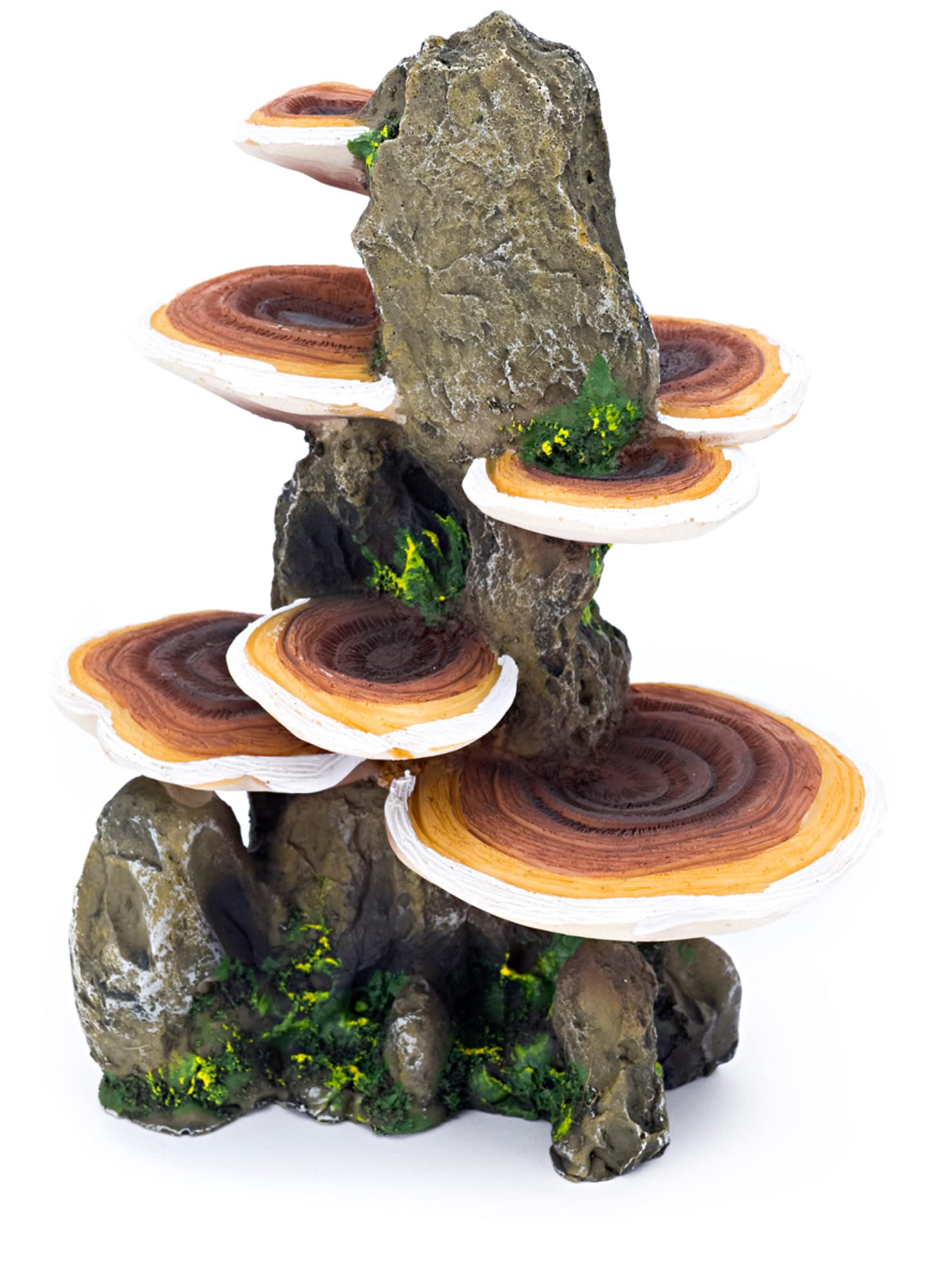 Penn-Plax Deco-Replicas Baumstamm mit Regal, Pilze, Aquarium-Dekoration, sicher für Süß- und Salzwasser-Aquarien, mittelgroß