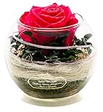 Rosen-Te-Amo - Konservierte Premium pink Rose in Kugel Vase - Blumenstrauß im Glas mit Liebe handgefertigt aus 100% echte Deko-Pflanzen; Infinity Deko-Blumen: 3 Jahre haltbar ohne Wasser