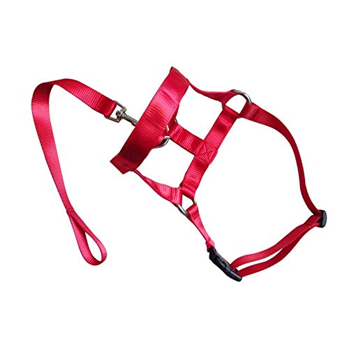 VIPAVA Rollleinen für Hunde Hundetraining Haustierhundkopfkragen sanftle Seilleine Training Hundehalsband (Color : C, Size : 3)