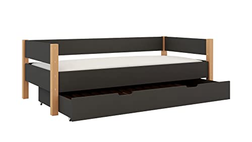 Sofabett Tagesbett Kinderbett LOLLIPOP 200x90 cm mit Zusatzbett-Bettkasten Buchenholz massiv grau