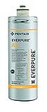 Everpure EV960112 Aktivkohle Wasserfilter